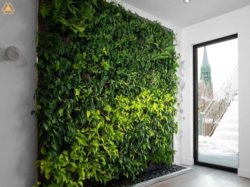 دیوار سبز چیست ، قیمت دیوار سبز 