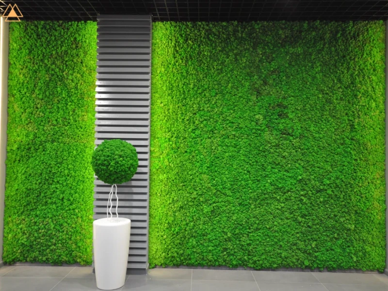 دیوار سبز چیست ، قیمت دیوار سبز